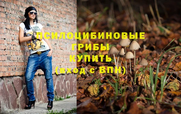 хмурый Алексеевка